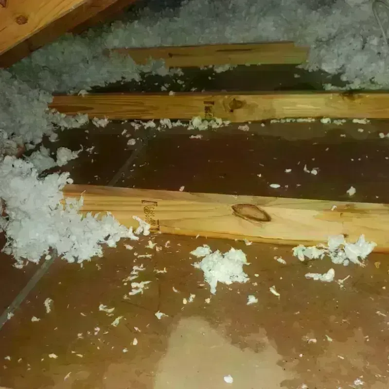 Attic Water Damage in Graham County, KS