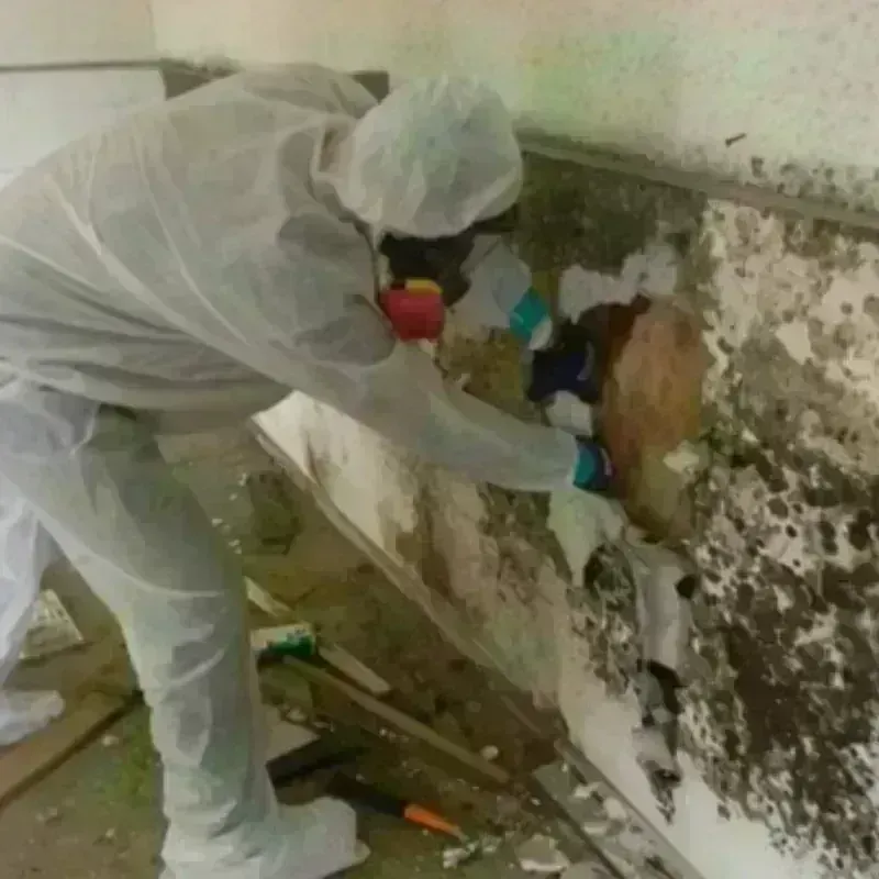 Mold Remediation and Removal in Graham County, KS