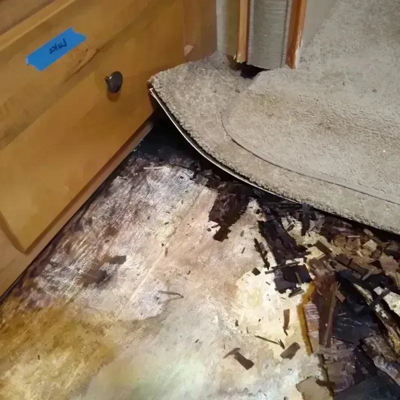 Wood Floor Water Damage in Graham County, KS